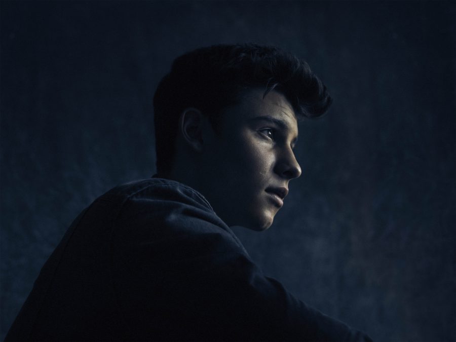 Shawn Mendes Announces 2017 World Tour