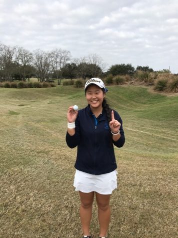 Golfers defy odds; another hole in one!
