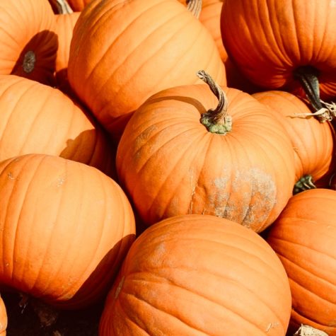 Sugar Land begins traditional fall events