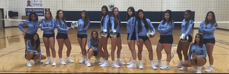 Clements Volleyball So Far