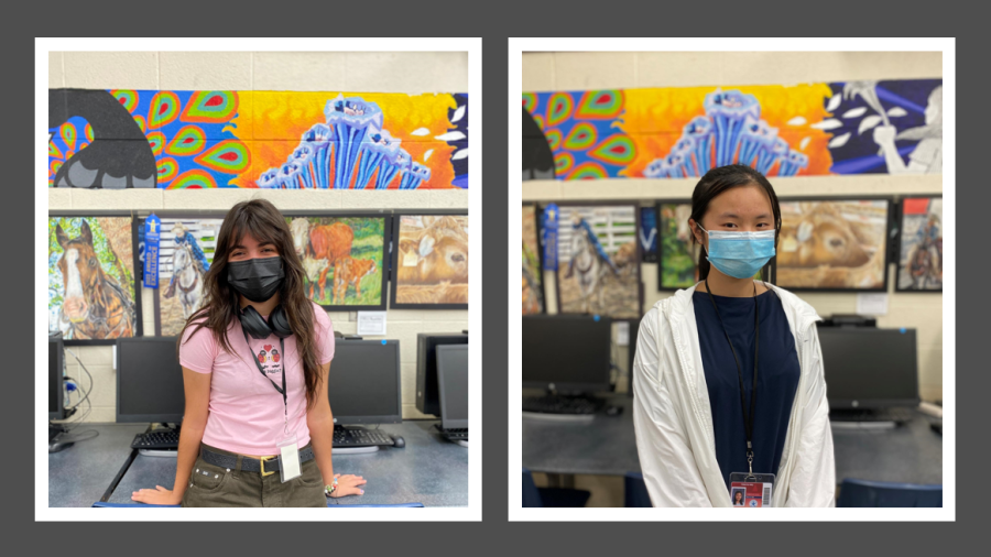 Junior Luz Martinez (left) and sophomore Wendy Wu (right) were two of 12 finalists in the Houston Livestock Show and Rodeo art competition district show.