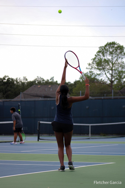 Tennis: A Competitive Team of Players
