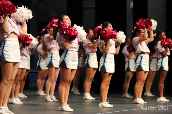 The cheer team made finals at the UCA National High School Cheerleading Championships for the first time in school history.