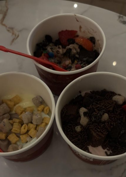 Three delicious frozen yogurt bowls from Yogurtland with varying flavors and toppings.