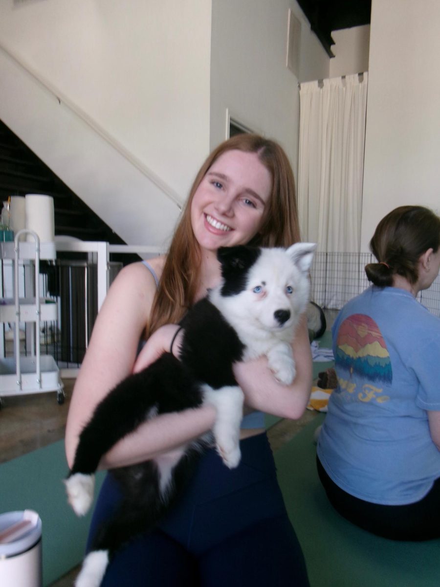Q&A with senior Jessica Lee: making the most of high school